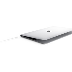 Ноутбук Apple MacBook 12" (2017) (Z0TZ000CW)