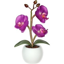 Настольная лампа Start Orchid 1