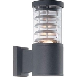 Прожектор / светильник Ideal Lux Tronco AP1