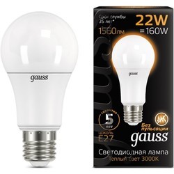Лампочка Gauss LED A70 22W 3000K E27 102502122