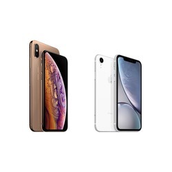 Мобильный телефон Apple iPhone Xs Max Dual 64GB (серый)