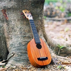 Гитара Enya EUP-X1 Pineapple