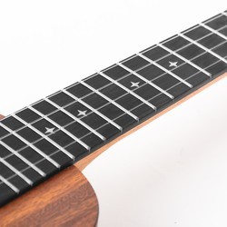 Гитара Enya EUS-X1