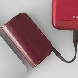 Powerbank аккумулятор Moshi IonBank 3K