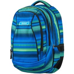 Школьный рюкзак (ранец) Target Allover 21438