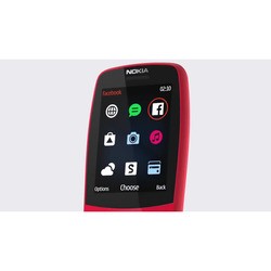 Мобильный телефон Nokia 210 (серый)