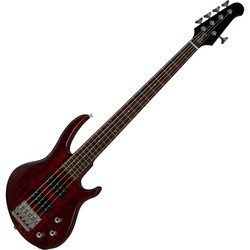 Гитара Gibson EB Bass 5 String 2019