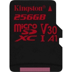 Карта памяти Kingston microSDXC Canvas React 256Gb