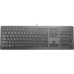 Клавиатура HP USB Premium Keyboard