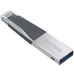 USB Flash (флешка) SanDisk iXpand Mini 256Gb