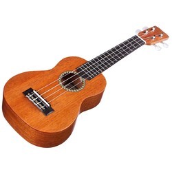 Гитара Cordoba 20SM