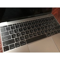 Ноутбук Apple MacBook 12" (2017) (Z0U40004D)
