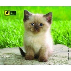 Коврик для мышки Pod myshku Siamese Kitty