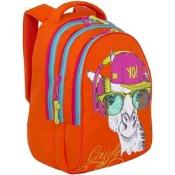 Школьный рюкзак (ранец) Grizzly RD-758-3