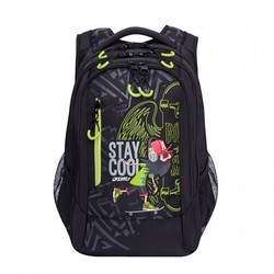 Школьный рюкзак (ранец) Grizzly RU-801-2 (черный)