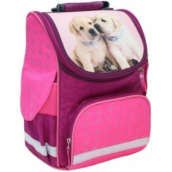 Школьный рюкзак (ранец) Bagland 00551702