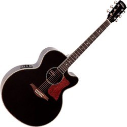 Гитара Vintage VECJ100