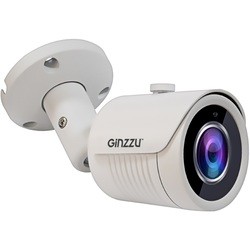 Камера видеонаблюдения Ginzzu HAB-5031S