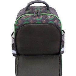 Школьный рюкзак (ранец) Bagland Mouse 327