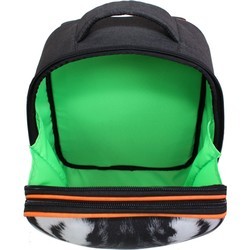 Школьный рюкзак (ранец) Bagland Turtle 17 184K