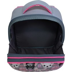 Школьный рюкзак (ранец) Bagland Turtle 17 144