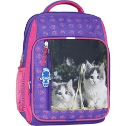 Школьный рюкзак (ранец) Bagland 00112662