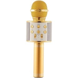 Микрофон WSTER WS 858 (золотистый)