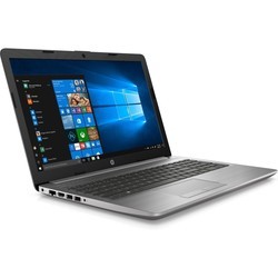 Ноутбук HP 255 G7 (255G7 6EC44ES)
