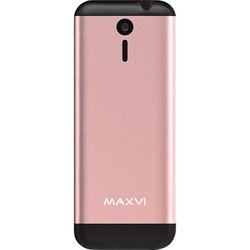 Мобильный телефон Maxvi X10 (серебристый)