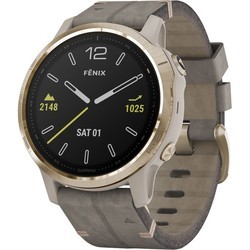 Носимый гаджет Garmin Fenix 6S Sapphire