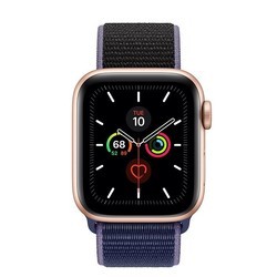 Носимый гаджет Apple Watch 5 Aluminum 40 mm (золотистый)