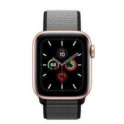 Носимый гаджет Apple Watch 5 Aluminum 40 mm (золотистый)