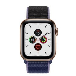 Носимый гаджет Apple Watch 5 Steel 40 mm Cellular