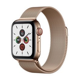 Носимый гаджет Apple Watch 5 Steel 40 mm Cellular