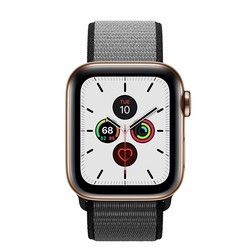 Носимый гаджет Apple Watch 5 Steel 40 mm Cellular