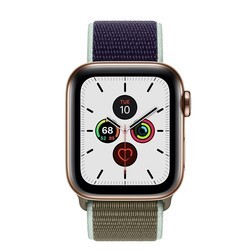 Носимый гаджет Apple Watch 5 Steel 40 mm Cellular