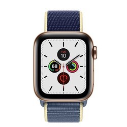 Носимый гаджет Apple Watch 5 Steel 44 mm Cellular