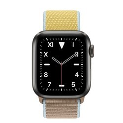 Носимый гаджет Apple Watch 5 Edition Titanium 40 mm Cellular