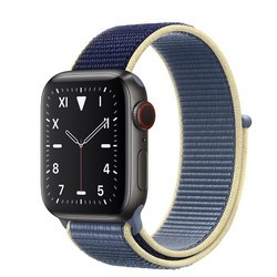 Носимый гаджет Apple Watch 5 Edition Titanium 40 mm Cellular