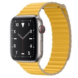 Носимый гаджет Apple Watch 5 Edition Titanium 40 mm Cellular