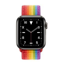 Носимый гаджет Apple Watch 5 Edition Titanium 40 mm Cellular