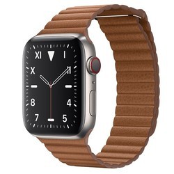 Носимый гаджет Apple Watch 5 Edition Titanium 40 mm Cellular