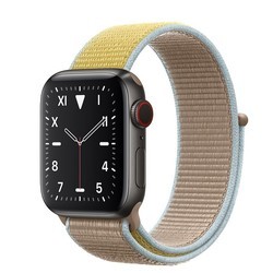 Носимый гаджет Apple Watch 5 Edition Titanium 44 mm Cellular