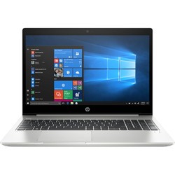 Ноутбук HP ProBook 455R G6 (455RG6 7DD81EA)