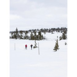 Лыжи Madshus Nordic Intelligrip 195 (2019/2020)