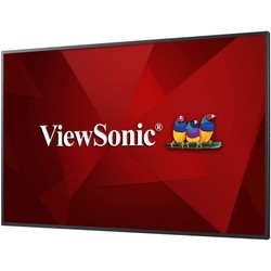Монитор Viewsonic CDE5010
