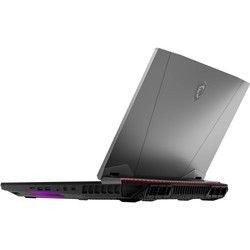 Ноутбук MSI GT76 Titan 9SG (GT76 DT 9SG-062RU)