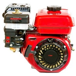 Двигатель EVO 170F