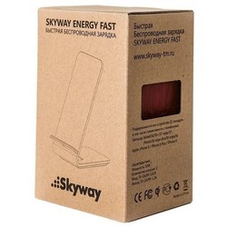 Зарядное устройство Skyway Energy Fast