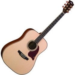 Гитара Fina FD-810